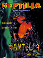 Reptilia n15